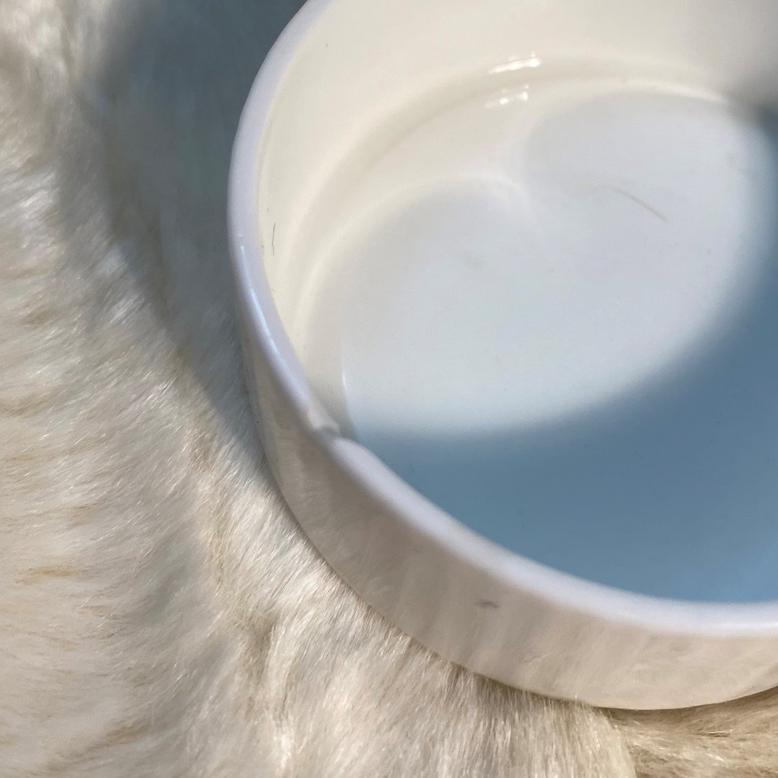 Aynsley Bone China Flower Trinket Box