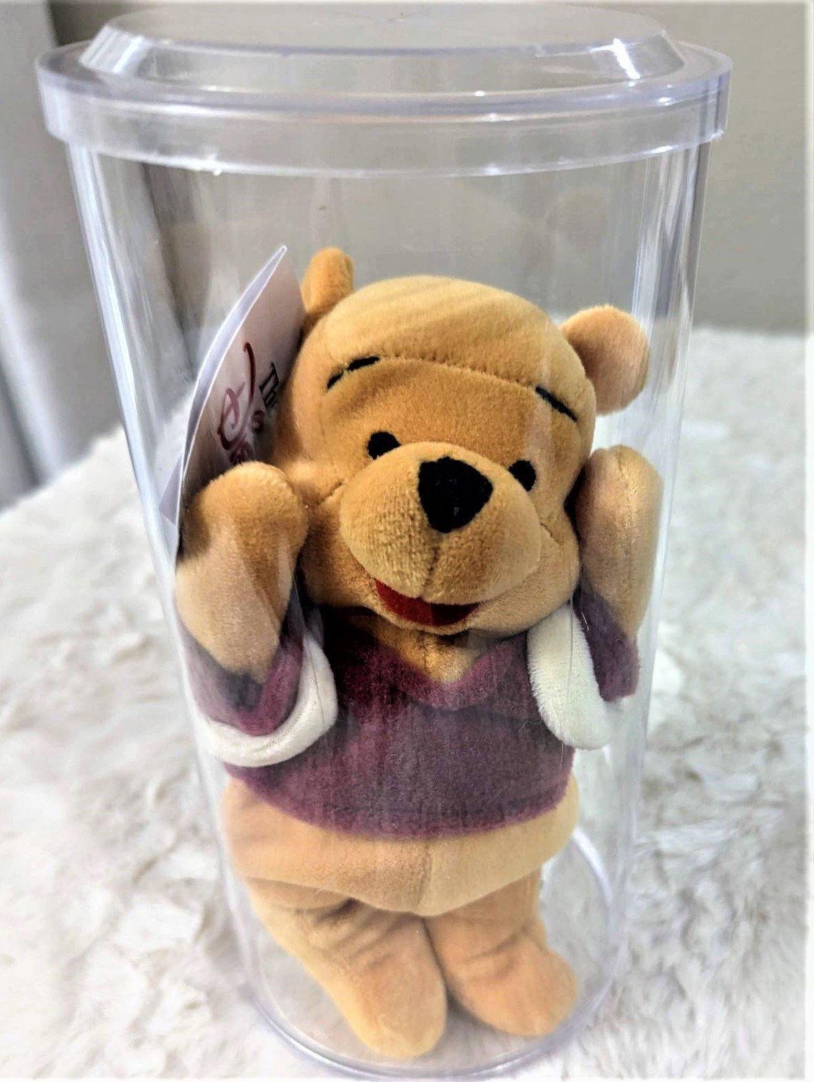 Disney Winnie the Poo dream with wings