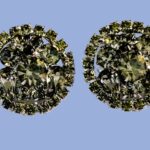 Weiss Clear Round Rhinestone Earrings