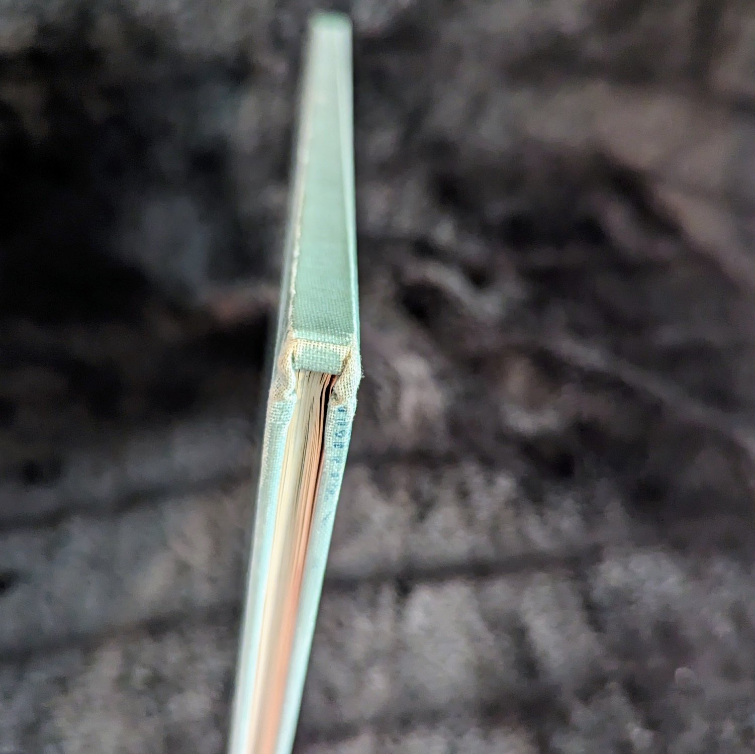 Iowa City Glass Company by M. Righter