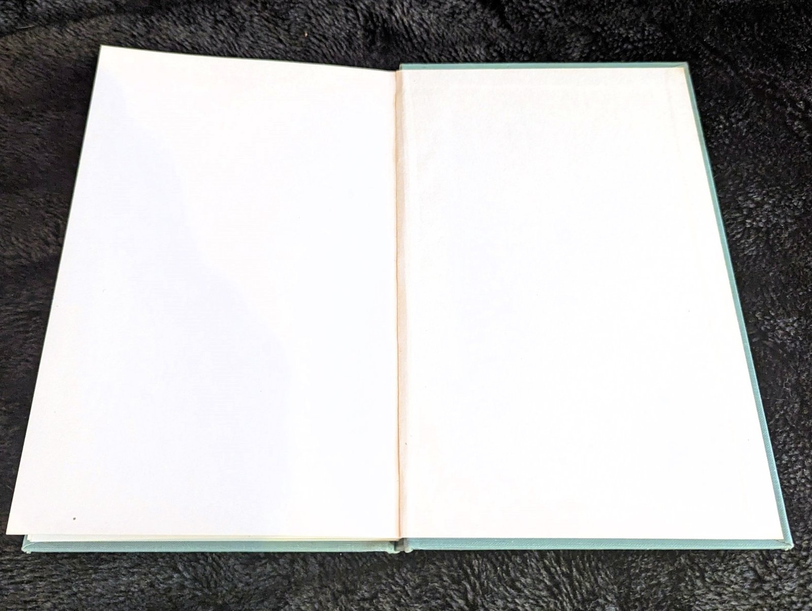 Iowa City Glass Company by M. Righter