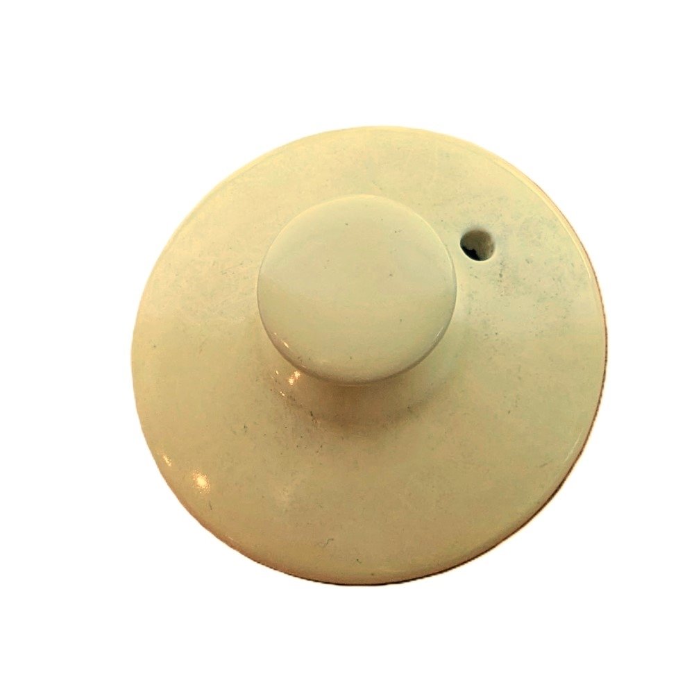 Yellow Tea for Two Singing Teapot